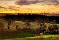 paysage 24_12_11n06